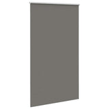Vidaxl rolgordijn verduisterend 120x210 cm stofbreedte 116,6 cm grijs