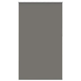 Vidaxl rolgordijn verduisterend 125x210 cm stofbreedte 121,6 cm grijs