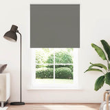 Vidaxl rolgordijn verduisterend 125x210 cm stofbreedte 121,6 cm grijs