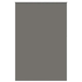 Vidaxl rolgordijn verduisterend 165x210 cm stofbreedte 161,6 cm grijs