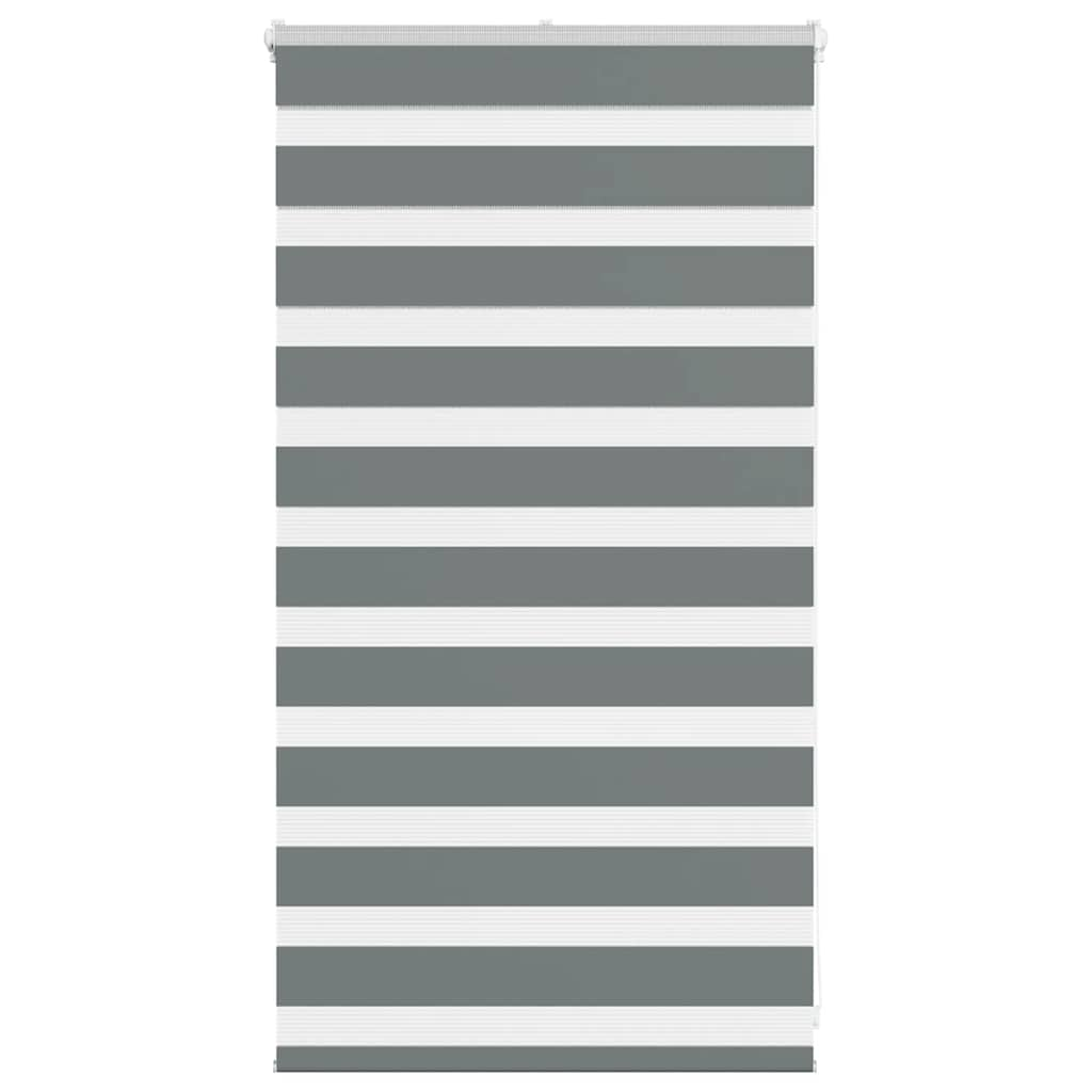 Vidaxl Zebra roller blind 70x100 cm dust width 65.9 cm dark gray