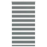 Vidaxl zebra rullo cieco 70x100 cm di larghezza di polvere 65,9 cm grigio scuro