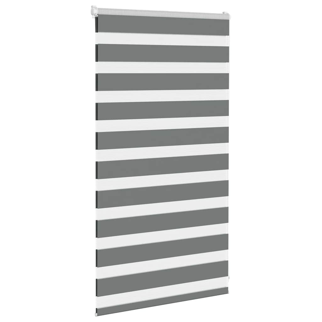 Vidaxl Zebra Roller Blind 70x100 cm støvbredde 65,9 cm mørk grå