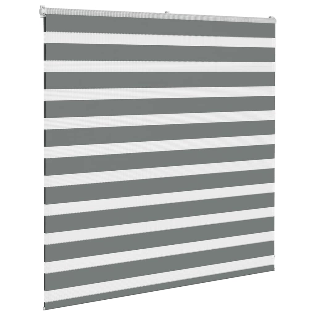 Vidaxl zebra rullo cieco 145x100 cm larghezza della polvere 140,9 cm grigio scuro