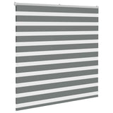 Vidaxl Zebra Roller Slepi 145x100 cm Širina prahu 140,9 cm temno siva