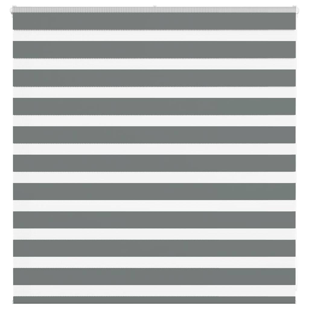 Vidaxl zebra rullo cieco 150x100 cm di larghezza di polvere 145,9 cm grigio scuro