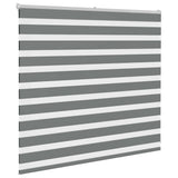 Vidaxl Zebra Rouleau aveugle 155x100 cm Largeur de tissu 150,9 cm gris foncé