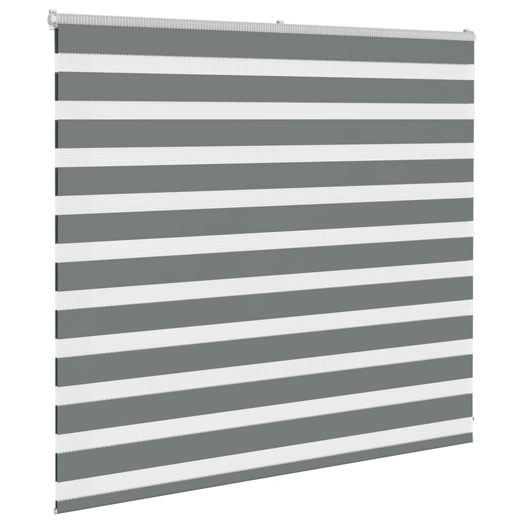 Vidaxl Zebra Roller Blind 165x100 cm Stof bredde 160,9 cm mørkegrå