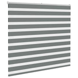 Vidaxl zebra rullo cieco 165x100 cm larghezza del tessuto 160,9 cm grigio scuro