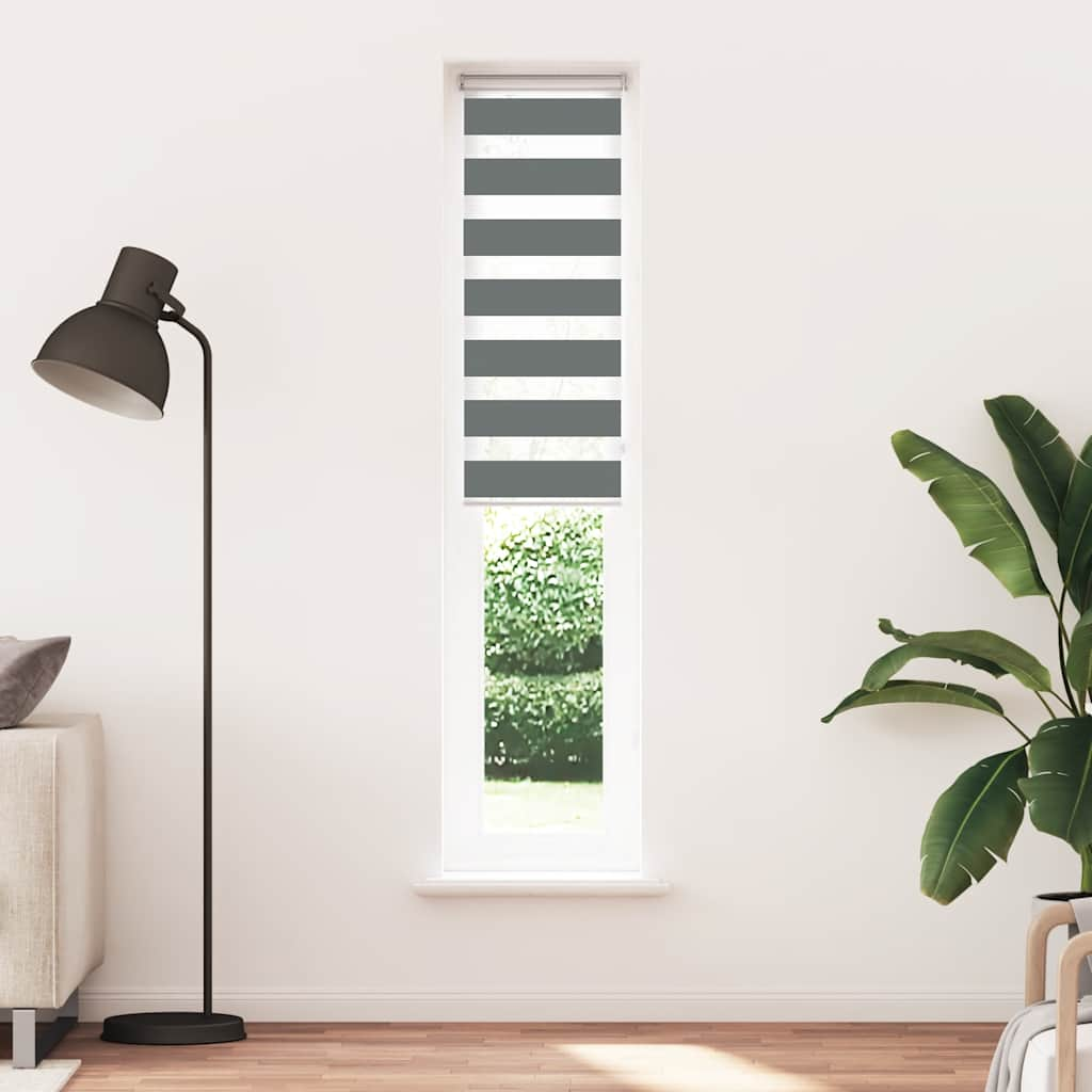 Vidaxl Zebra Roller Blind 40x200 cm Staubbreite 35,9 cm dunkelgrau