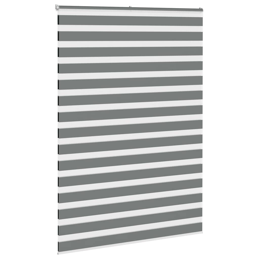 Vidaxl Zebra Roller Blind 155x200 cm Stoffbreite 150,9 cm dunkelgrau