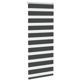 Vidaxl Zebra Roller Blind 65x100 cm Stoffbreite 60,9 cm Schwarz