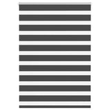 Vidaxl zebra rolgordijn 100x100 cm stofbreedte 95,9 cm zwart