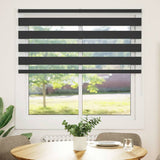 Vidaxl Zebra Roller Blind 145x100 cm Stof bredde 140,9 cm sort