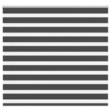 Vidaxl zebra rolgordijn 160x100 cm stofbreedte 155,9 cm zwart