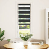 Vidaxl Zebra Roller Blind 40x150 cm de polvo ancho de 35,9 cm negro