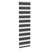 Vidaxl Zebra Roller Blind 40x150 cm de polvo ancho de 35,9 cm negro