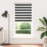 Vidaxl zebra rullo cieco 105x200 cm Larghezza tessuto 100,9 cm nero