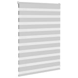 Vidaxl Zebra Roller Blind 105x100 cm Stoffbredde 100,9 cm lysegrå