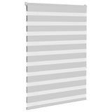 Vidaxl Zebra Roller Blind 105x150 cm Stoffbreite 100,9 cm hellgrau