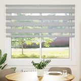 Vidaxl Zebra Roller Blind 160x150 cm Stoffbreite 155,9 cm hellgrau