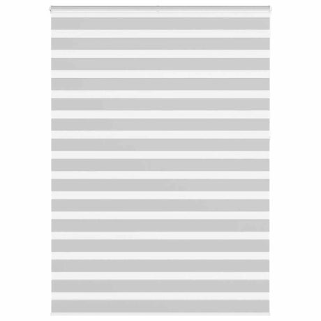 Vidaxl zebra rolgordijn 165x230 cm stofbreedte 160,9 cm lichtgrijs