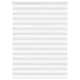 Vidaxl zebra rullo cieco 160x200 cm Larghezza polvere 155,9 cm in poliestere bianco