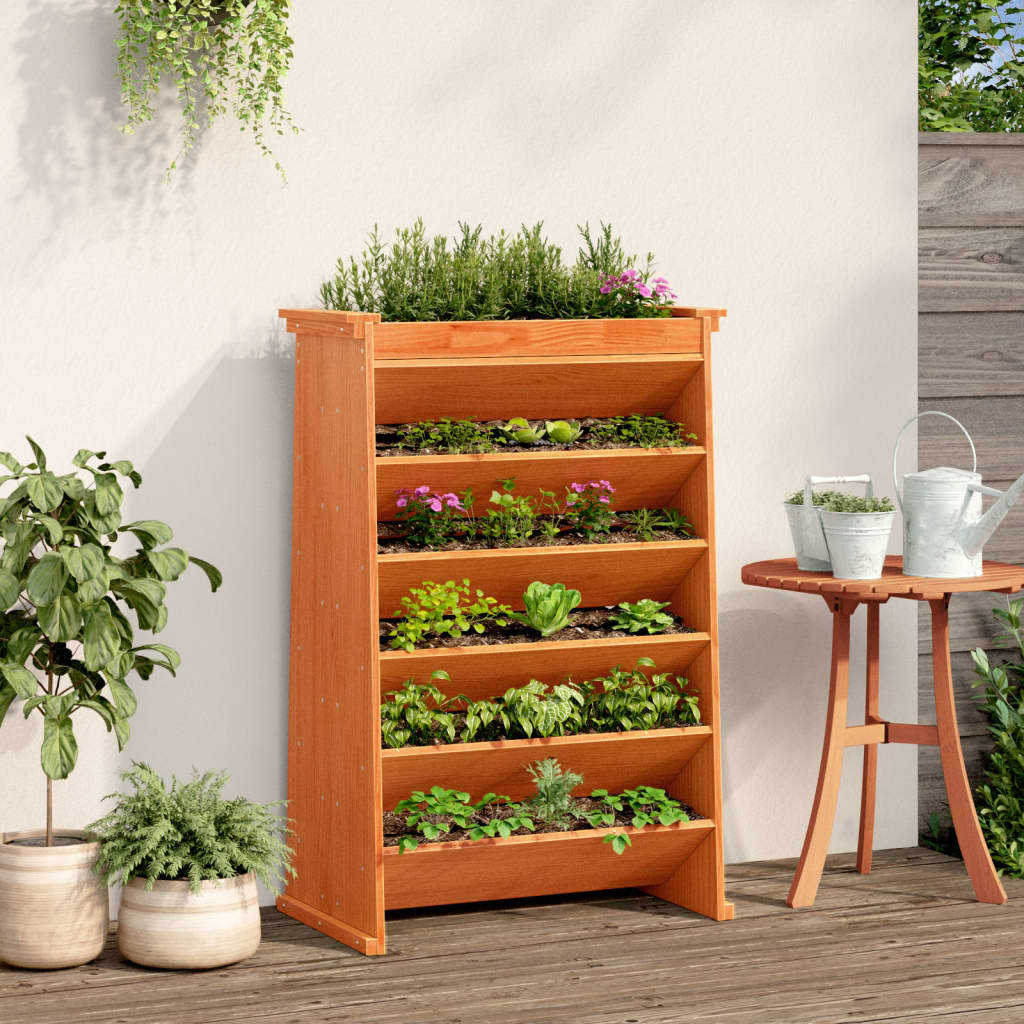 Vidaxl Herb Box a 6 strati 69x40x101,5 cm Bash di pino solido marrone