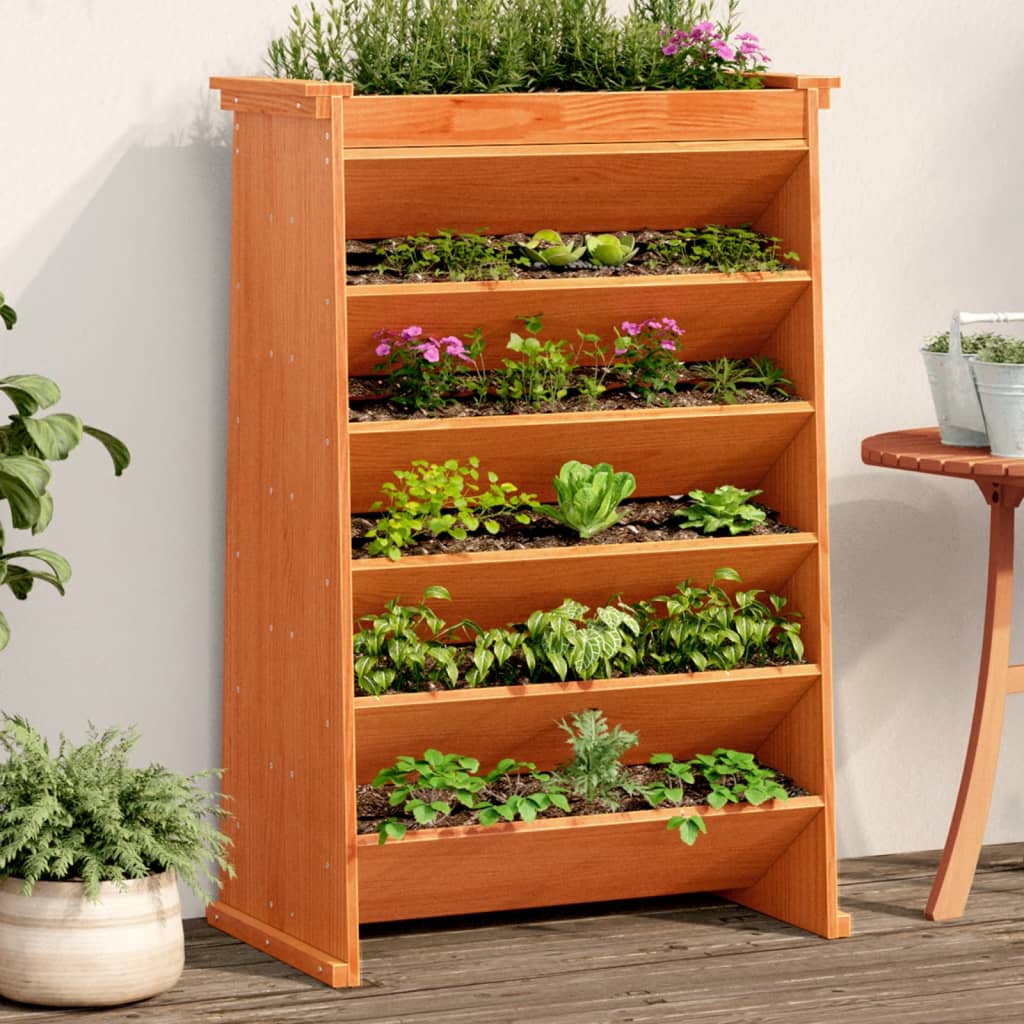 Vidaxl Herb Box a 6 strati 69x40x101,5 cm Bash di pino solido marrone