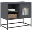 Vidaxl tv-meubel 68x39x60,5 cm staal antracietkleurig