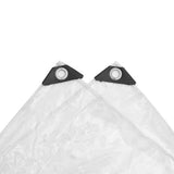 Vidaxl doorzichtig zeildoek met zeilringen 3x10 m pvc