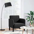 Vidaxl fauteuil met armleuningen 54 cm fluweel zwart
