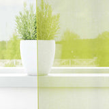 Vidaxl gordijnen voile met doorvoertules 2 st 140x260 cm appelgroen