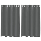 Vidaxl gordijnen voile met doorvoertules 2 st 140x175 cm donkergrijs