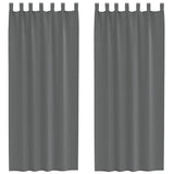 Vidaxl gordijnen voile met lussen 2 st 140x260 cm donkergrijs