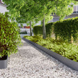 Vidaxl gazonrand 10 st 20 x 103 cm koudgewalst staal antraciet