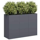 Vidaxl plantenbak 120x40x80 cm koudgewalst staal antracietkleurig