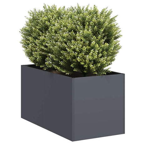 Vidaxl plantenbak 40x80x40 cm koudgewalst staal antracietkleurig