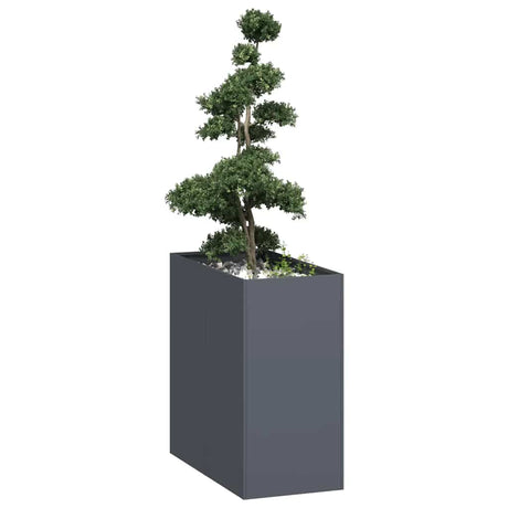 Vidaxl plantenbak 40x80x80 cm staal antracietkleurig