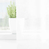 Vidaxl voile gordijn met gordijnen 2 pcs wit 260 x 140 cm polyester