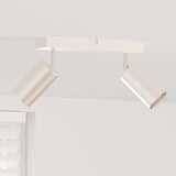 Vidaxl plafondspot met schijnwerpers nikkel 26 x 6 x 16 cm metaal