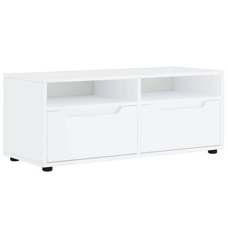 Vidaxl tv-meubel visnes 100x40x38 cm bewerkt hout wit