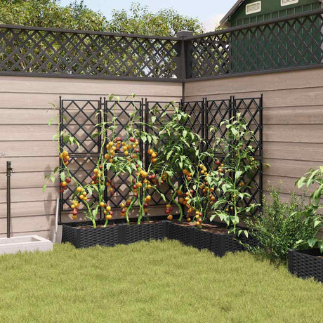 Vidaxl tuin bloempot 5 pcs zwart 120 x 120 x 125,5 cm staal