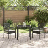 Vidaxl tuinstoel 2 st zwart poly rattan