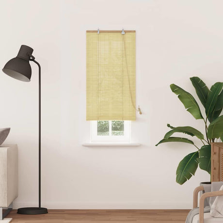 Vidaxl rolgordijn natuur 60 x 220 cm bamboe