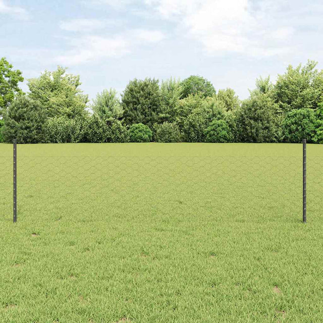 Vidaxl zeshoekig gaasgek met palen 25 x 0,5 m pvc-coated staal grijs
