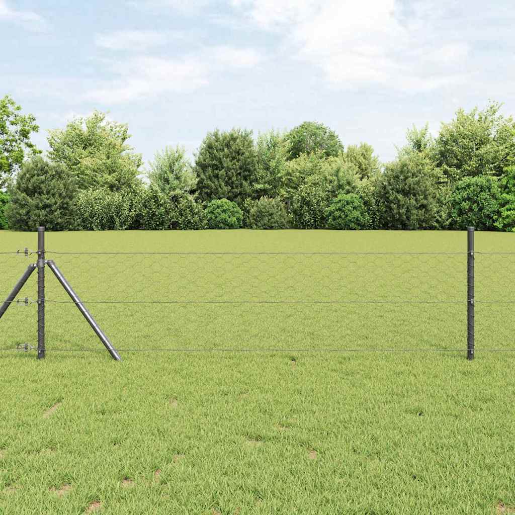 Vidaxl hexagon hek grijs 1 x 50 m pvc