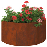 Vidaxl plantenbak roestig 120 x 60 x 50 cm cortenstaal
