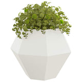 Vidaxl plantenbak 2 pcs wit 100 x 100 x 80 cm staal