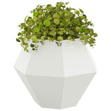 Vidaxl plantenbak wit 75 x 75 x 60 cm staal